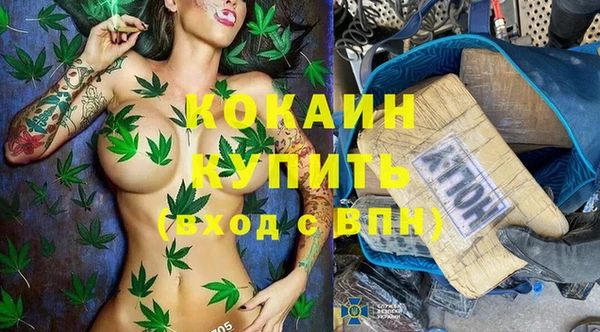 стафф Верхний Тагил