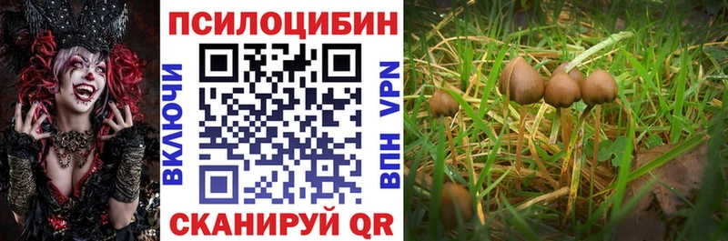 Псилоцибиновые грибы Magic Shrooms  Купить где  Ворсма 